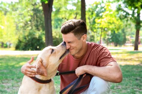 cosa vuol dire quando il cane ti lecca la faccia